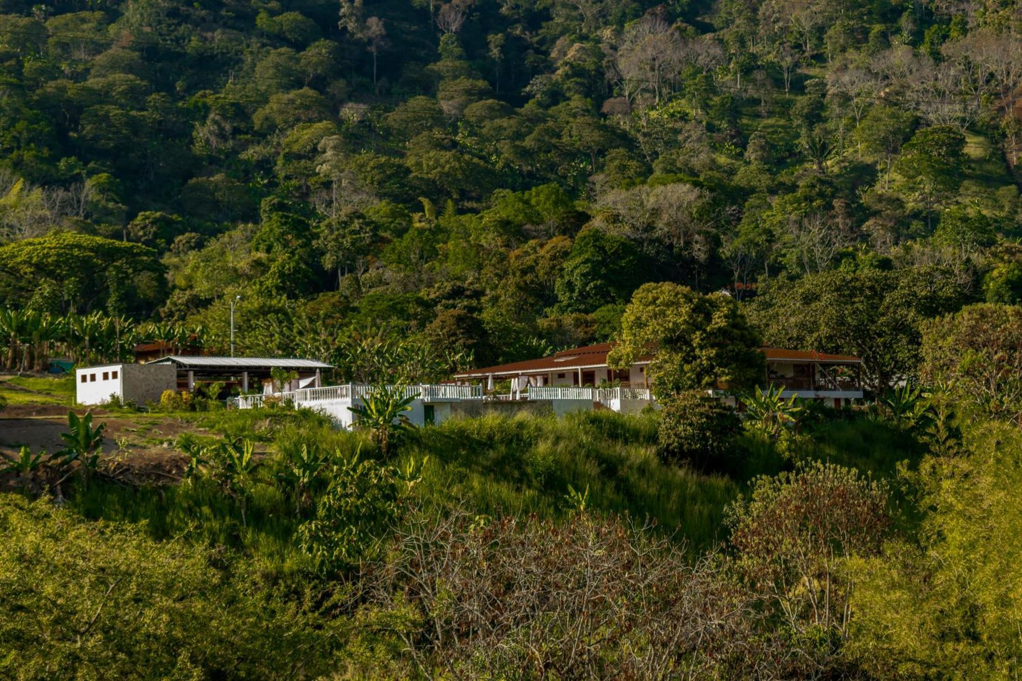 Hotel Campestre La Francesina Betania Exterior foto